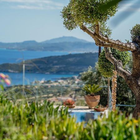Askos Stone Villa - The Island Panorama 아기오스니콜라우스 외부 사진